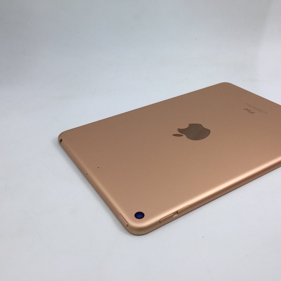 苹果ipadmini5wifi版金色64g国行95成新